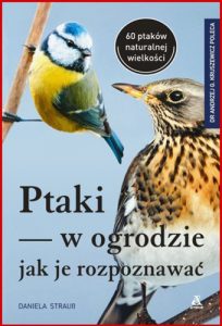 PTAKI W OGRODZIE Jak je rozpoznawac