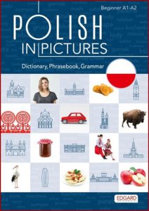 POLISH IN PICTURES Dictionary Phrasebook Grammar