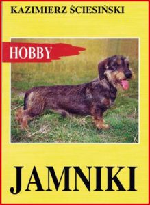 JAMNIKI