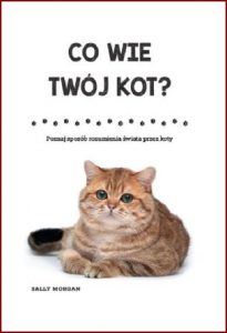 CO WIE TWOJ KOT? Poznaj sposób rozumienia świata przez koty (Is Your Cat Psychic?)