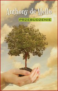 PRZEBUDZENIE (Awareness)