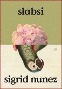 SŁABSI (The Vulnerables: A Novel)
