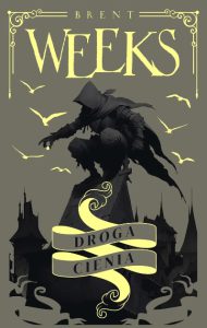 DROGA CIENIA Nocny Anioł vol 1 (The Way of Shadows)