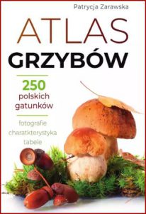ATLAS GRZYBÓW Ponad 250 polskich gatunków