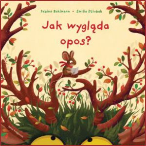 JAK WYGLĄDA OPOS?