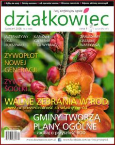 DZIAŁKOWIEC Kwiecień 2026- Mgz