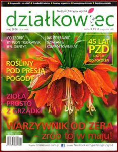 DZIAŁKOWIEC Maj 2026- Mgz