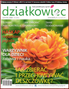 DZIAŁKOWIEC Czerwiec 2026- Mgz
