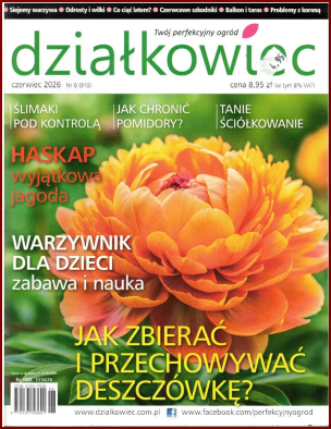 DZIAŁKOWIEC Czerwiec 2026- Mgz